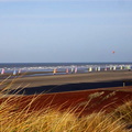 les chars à voile sur une plage du nord