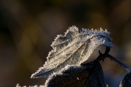 Givre