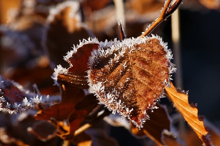 Givre