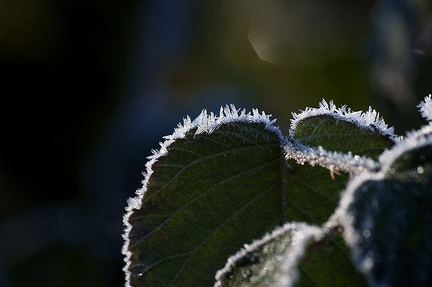 Givre