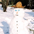 Mr le bonhomme de neige dans le jardin des Sapède