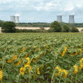 La centrale parmi les tournesols