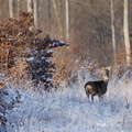 Rencontre