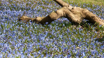 C'est le printemps !