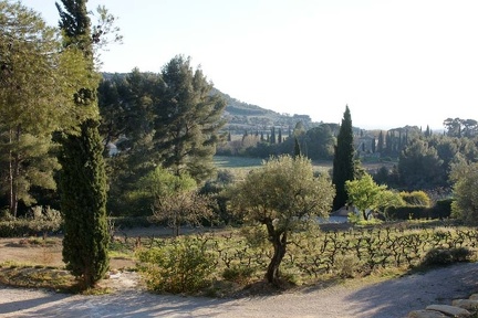 Paysage provençal