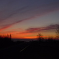 P1040118w.jpg