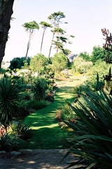  Le jardin exotique de l'ile de Bath