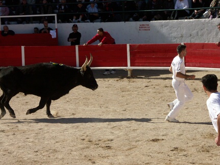 Il faut être rapide et agile!!!