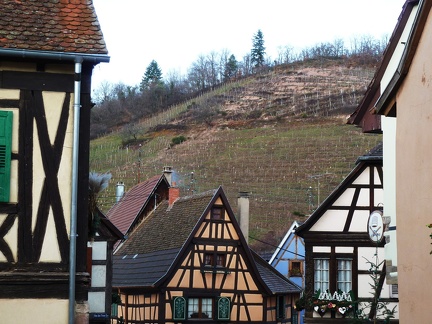 Maisons alsaciennes avec les vignes en espalier en arrière plan