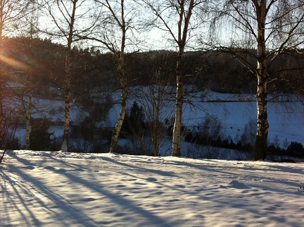 -14°C à Orbey ce 3 février après-midi