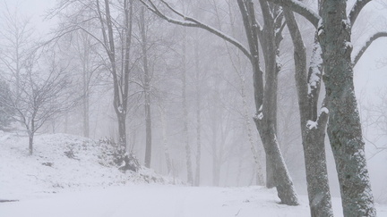 Chez les dominicaines d'Orbey