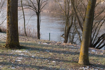 La Meurthe gèle par endroit