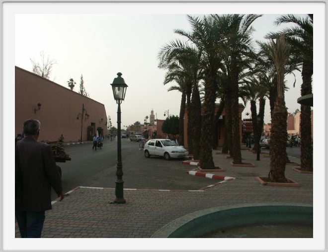PICT0908