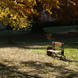Automne