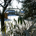 vue du jardin sous la neige