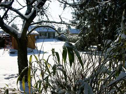 vue du jardin sous la neige