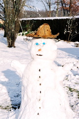 Mr le bonhomme de neige dans le jardin des Sapède