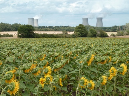 La centrale parmi les tournesols