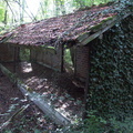 Un ancien lavoir abandonné, découvert dans les bois, pris dans la végétation...!
