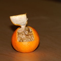 La mandarinoix