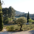 Paysage provençal