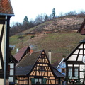 Maisons alsaciennes avec les vignes en espalier en arrière plan