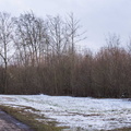 Forêt de Haye