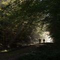 Deux VTT dans la forêt de Montargis
