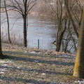 La Meurthe gèle par endroit